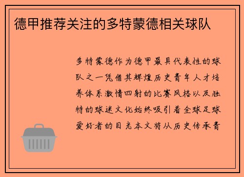 德甲推荐关注的多特蒙德相关球队